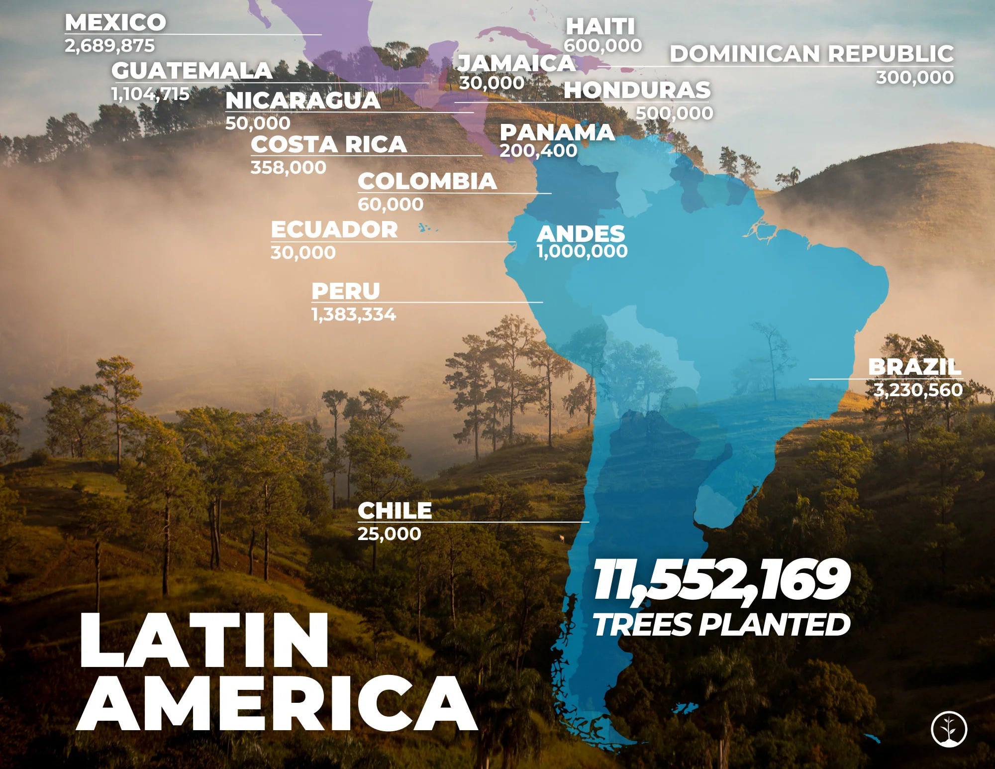 one tree planted latin america 2022