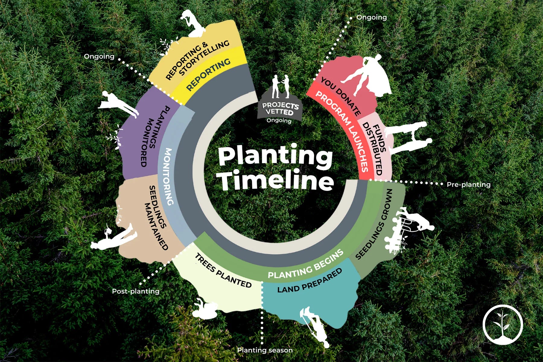 Planting timeline graphic