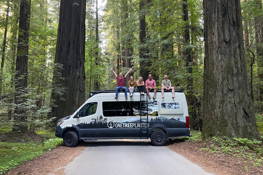 one tree planted van crew redwoods