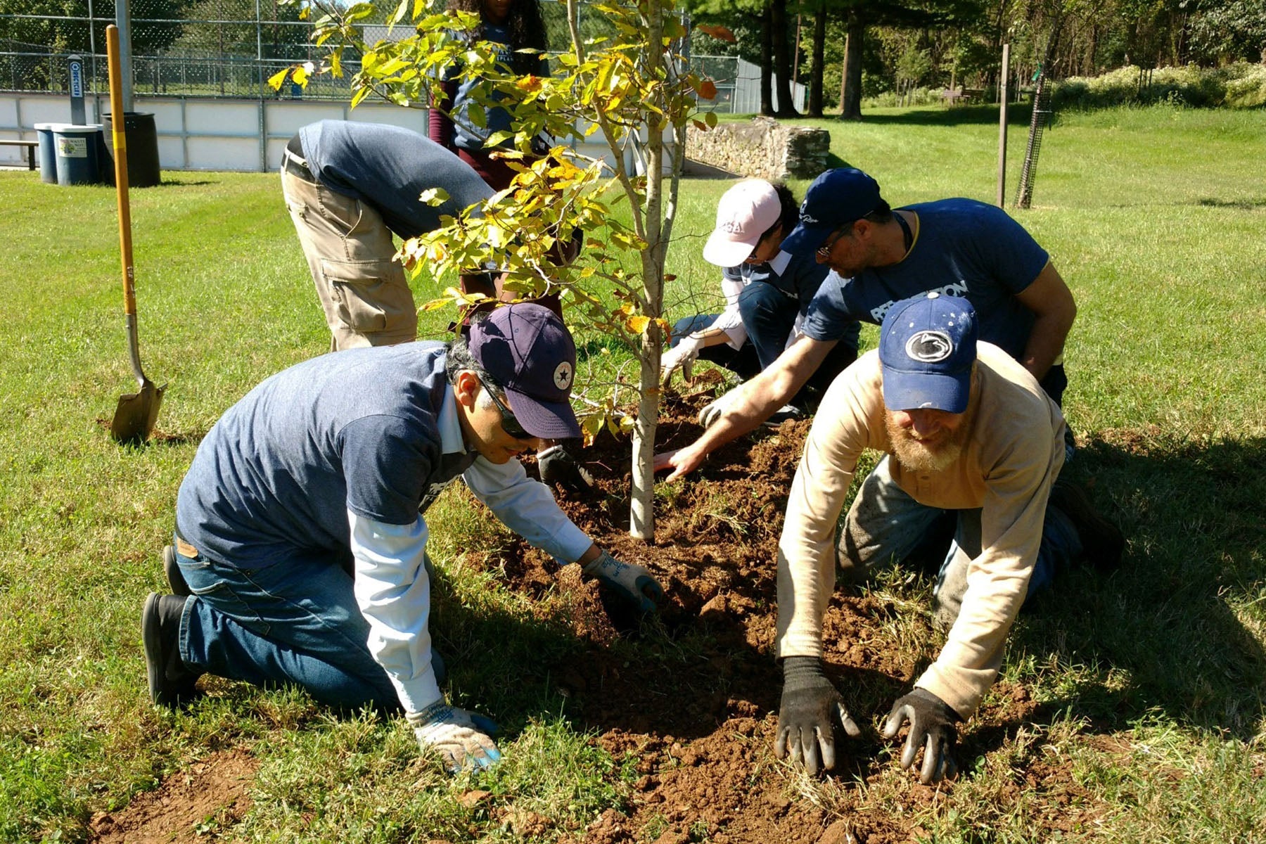 pennsylvania plant a tree day 2018