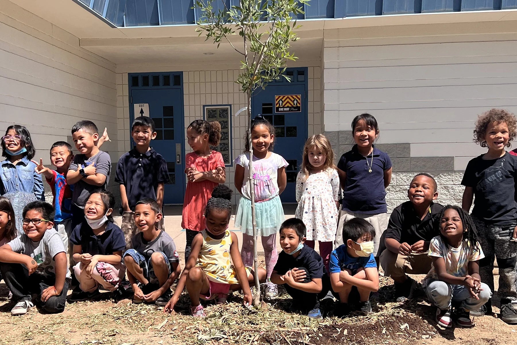 phoenix arizona urban tree planting elementary school