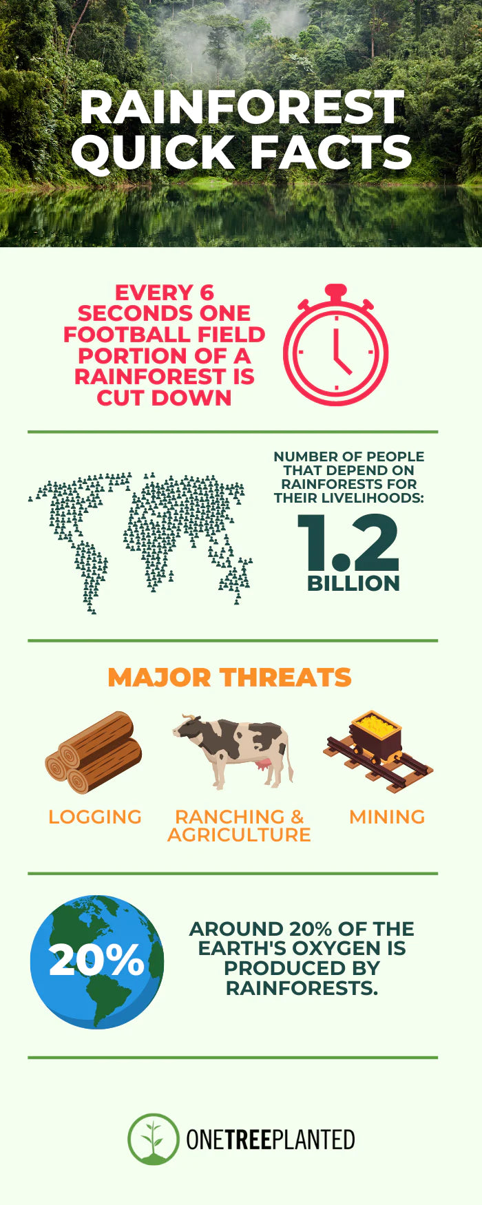 Rainforest facts inforgraphic