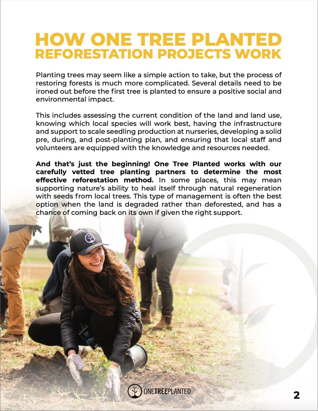 Learn About Reforestation and Its Benefits | One Tree Planted