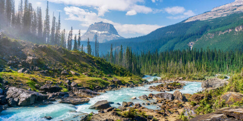 River, trees, and mountains