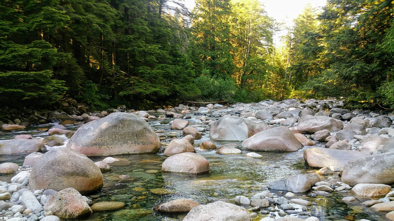 rocky river in forest