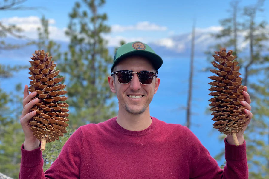 ross holding pine cones
