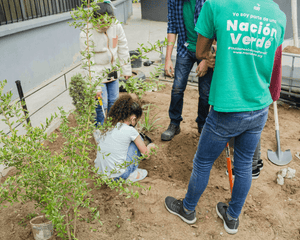 School planting trees for Urban Forestry
