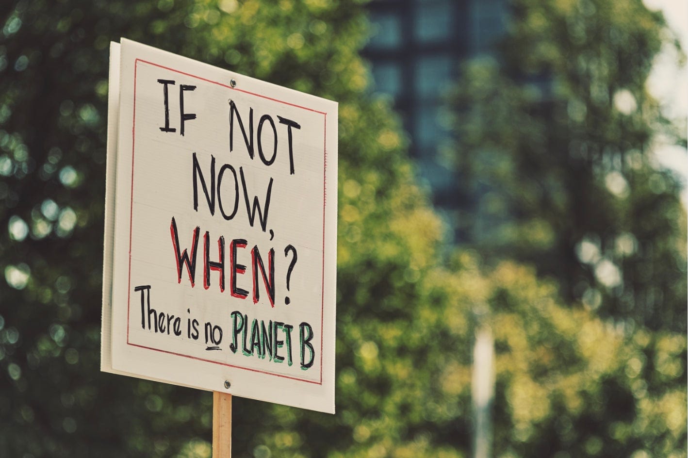 Good News! 30 Positive Environmental News Stories From 2024 8 Good News! 30 Positive Environmental News Stories From 2024 8