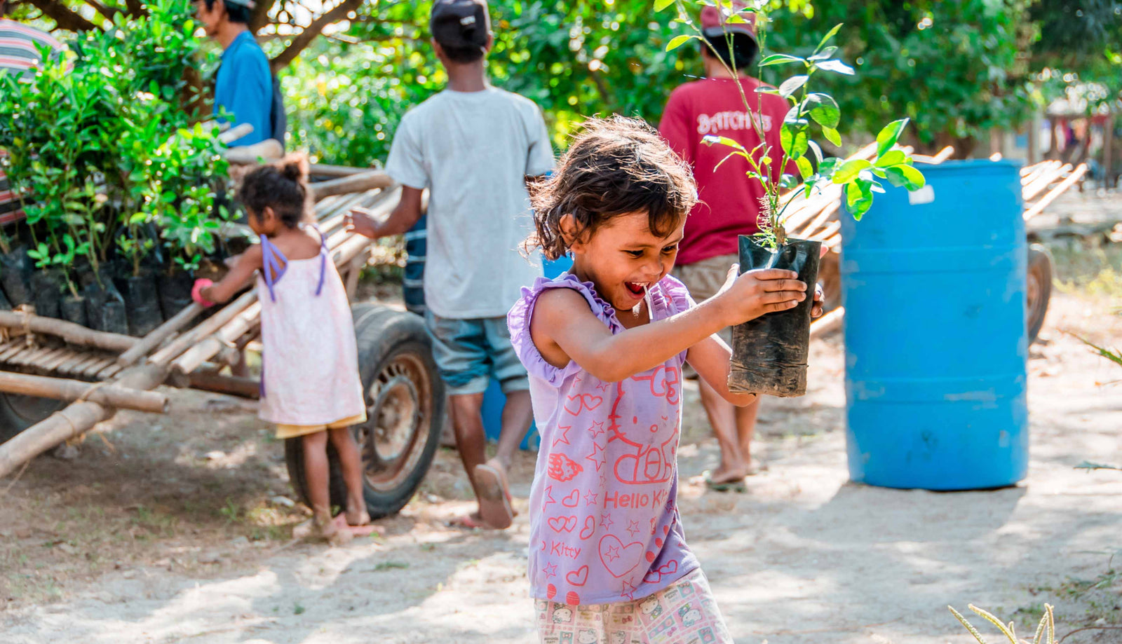 Smiling little girl holding tree sapling