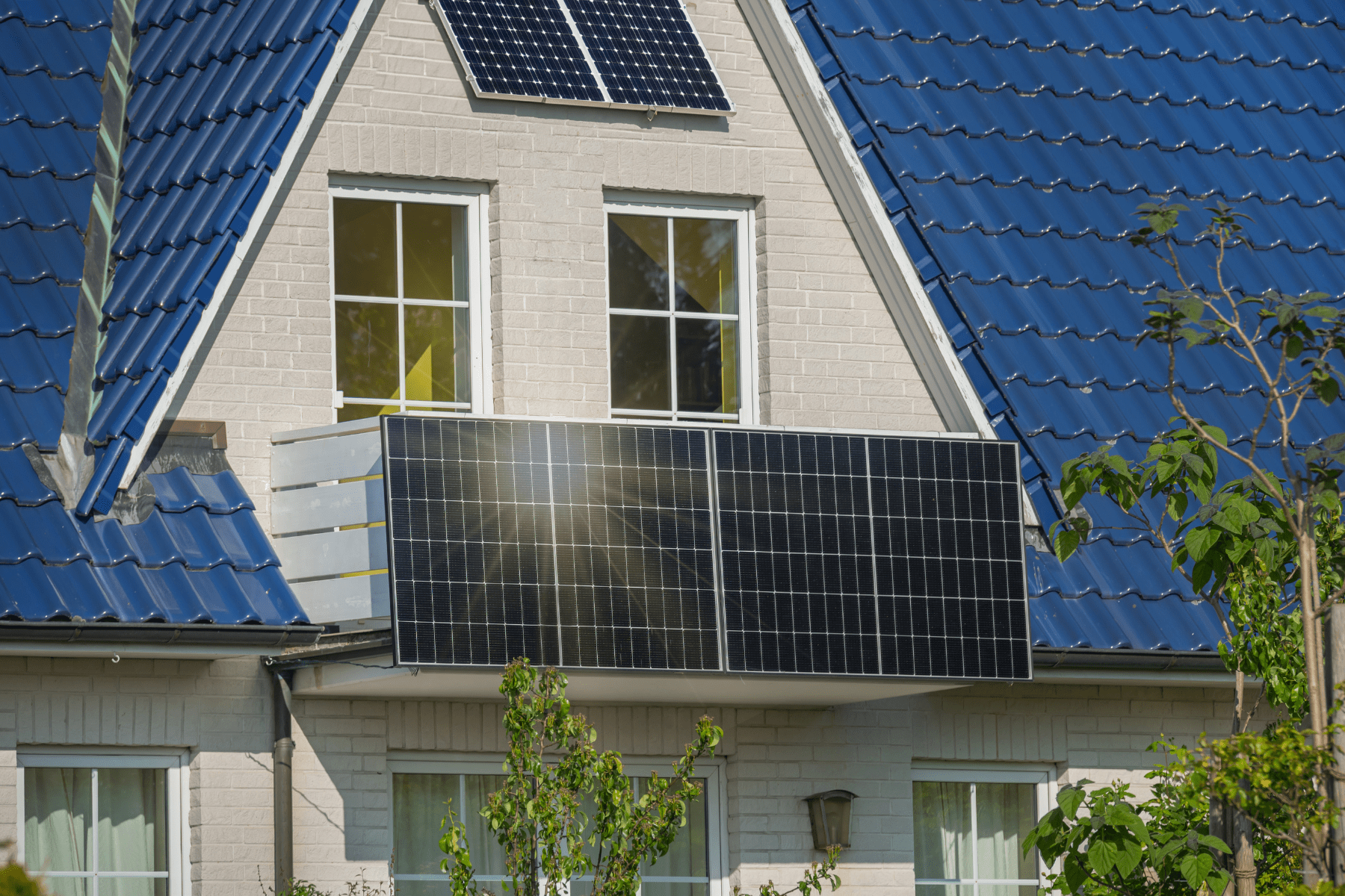 Good News! 30 Positive Environmental News Stories From 2024 30 Good News! 30 Positive Environmental News Stories From 2024 30