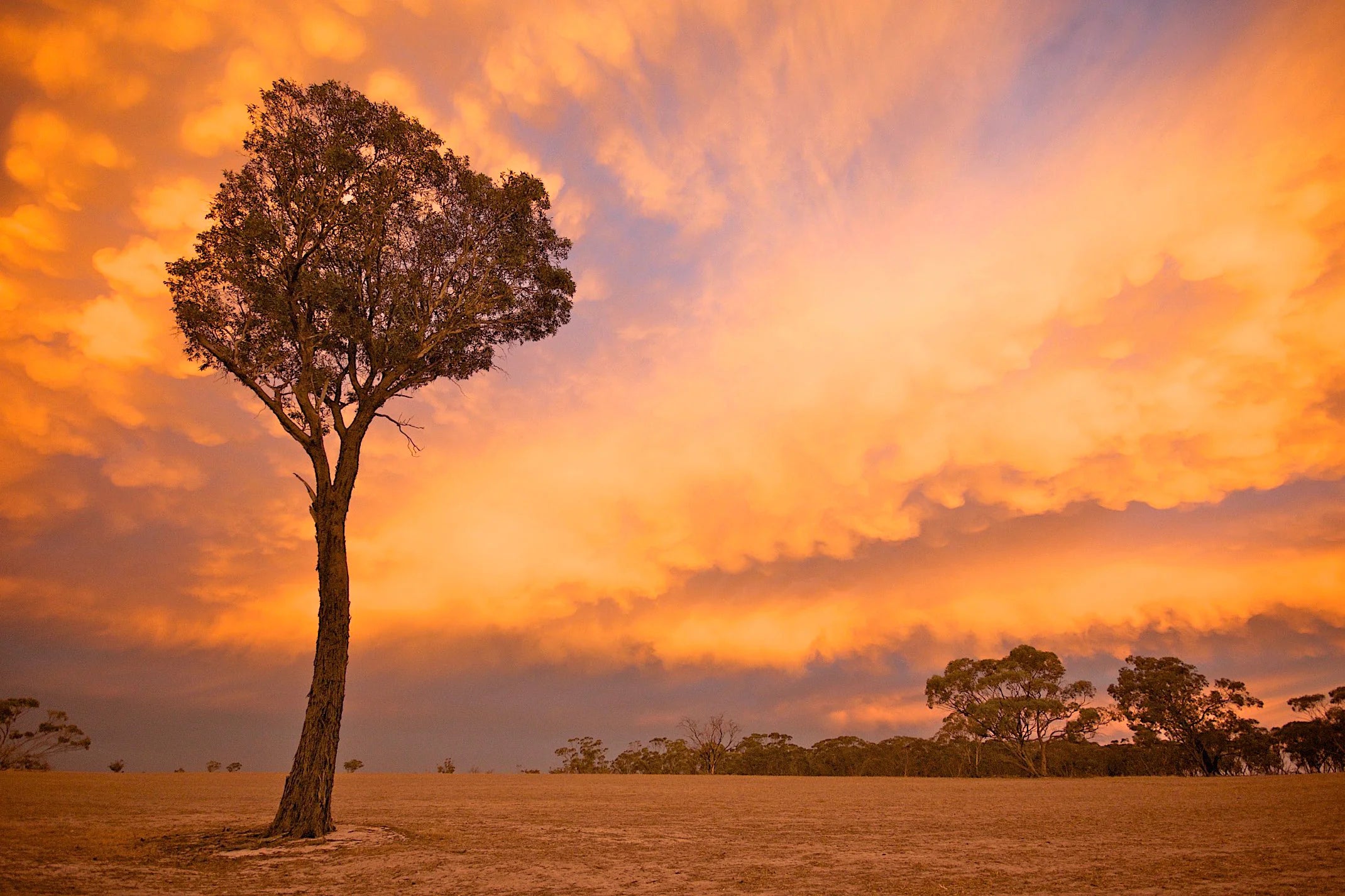 sunset boroondara australia