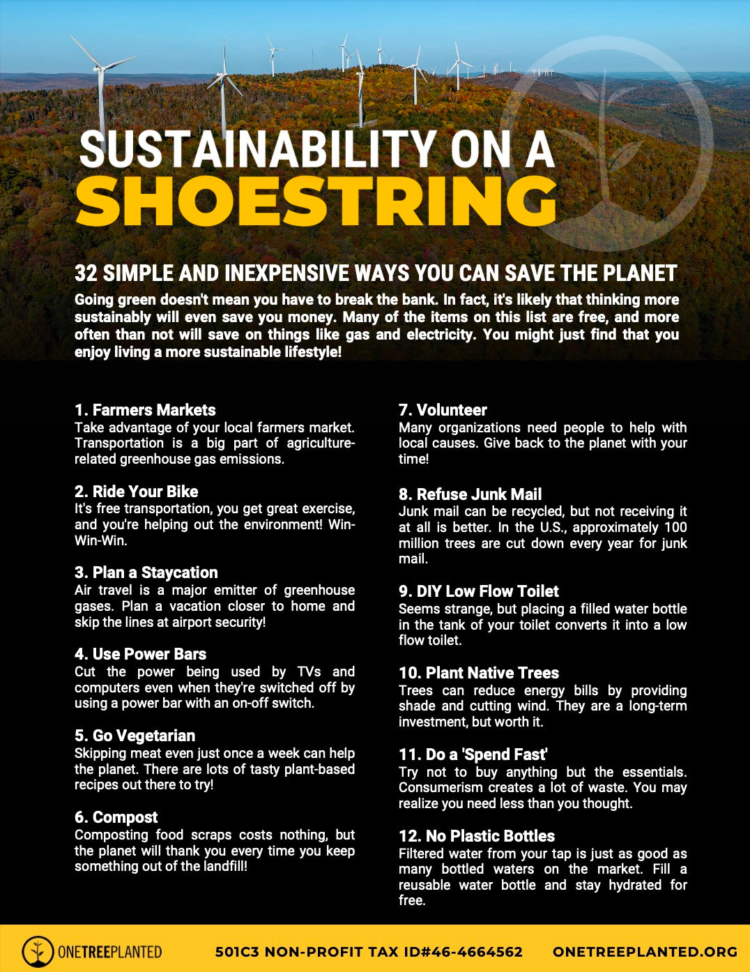Sustainability on a Shoestring