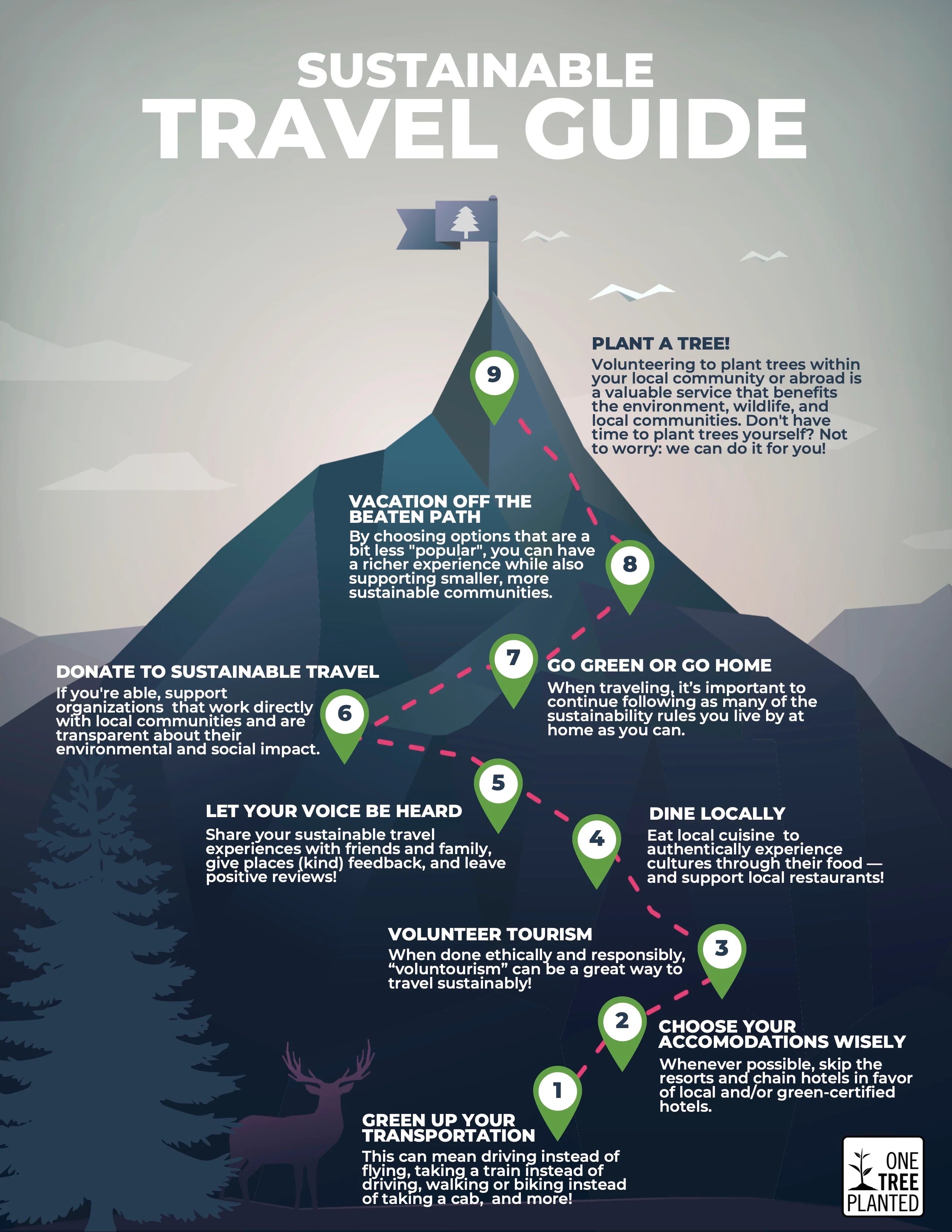 one tree planted sustainable travel guide