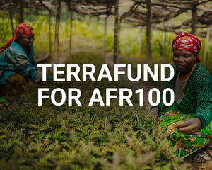 TerraFund for AFR100 main image