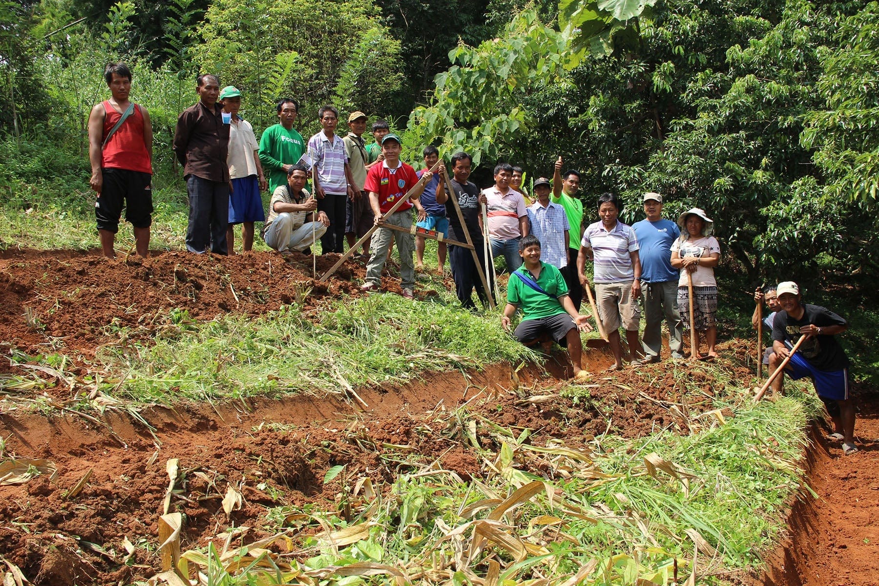 How Reforestation and Social Impact Combine - One Tree Planted