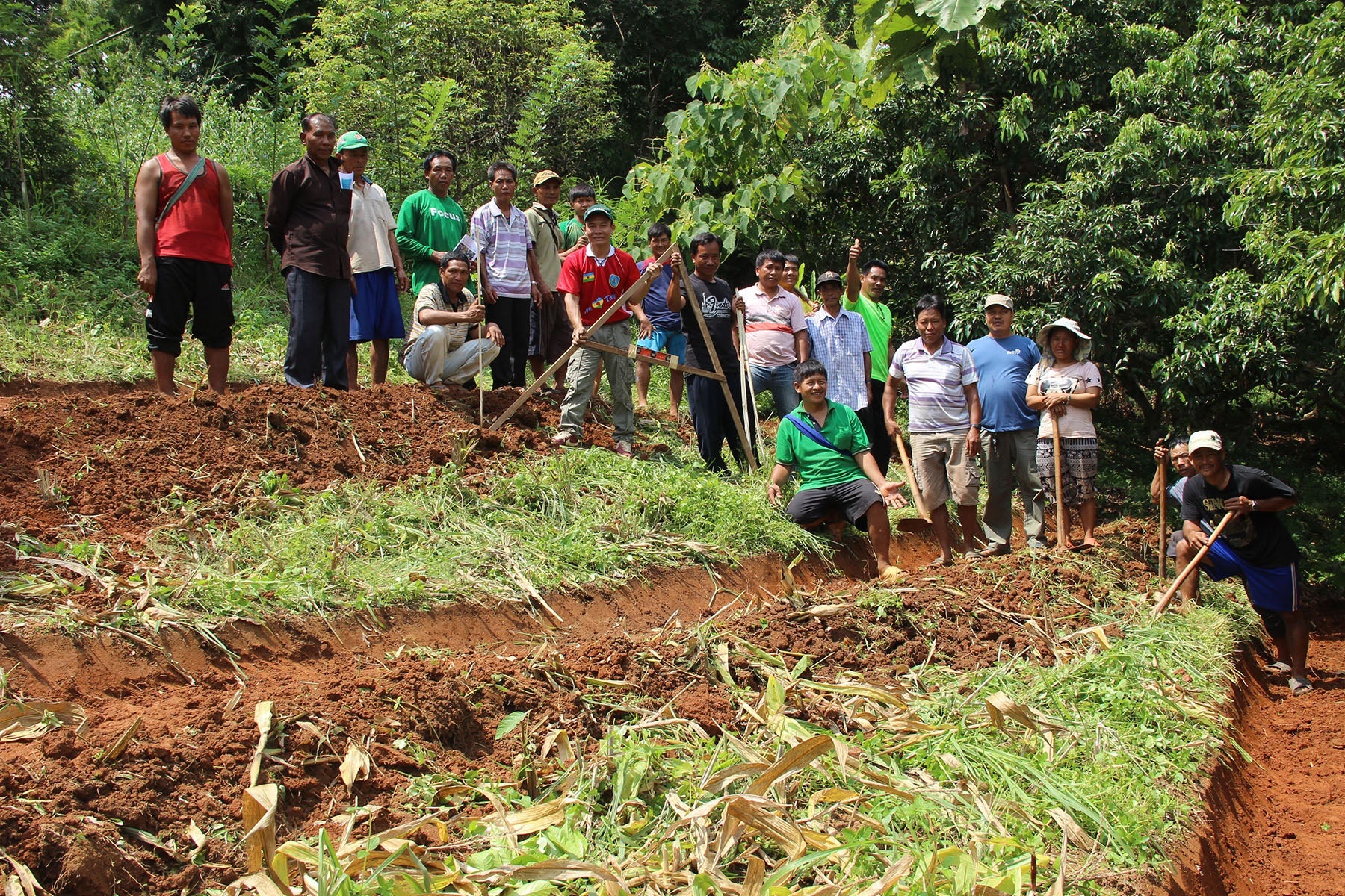thailand hilltribe reforestation training agroforestry