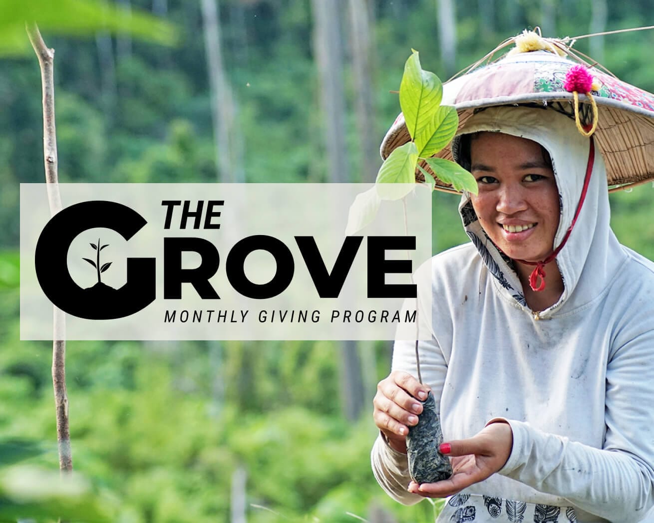 The Grove: Monthly Giving