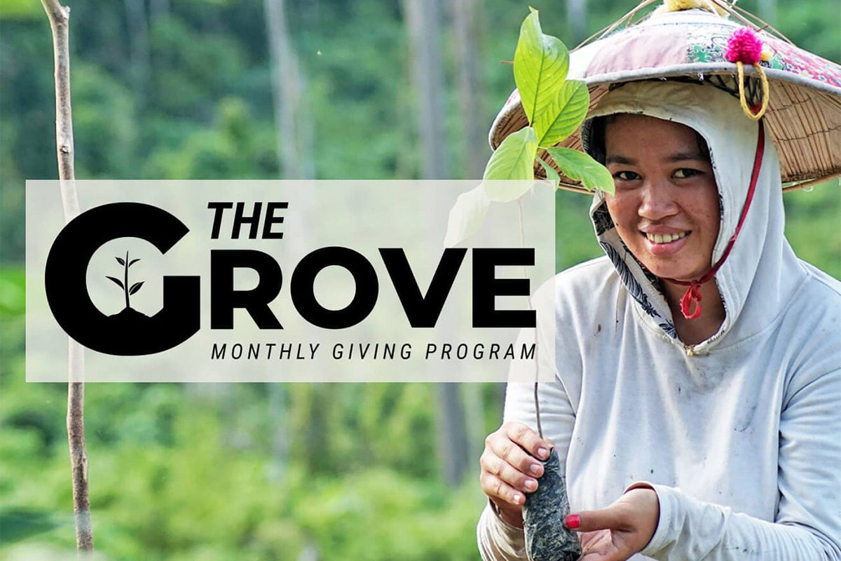 The Grove: Monthly Giving