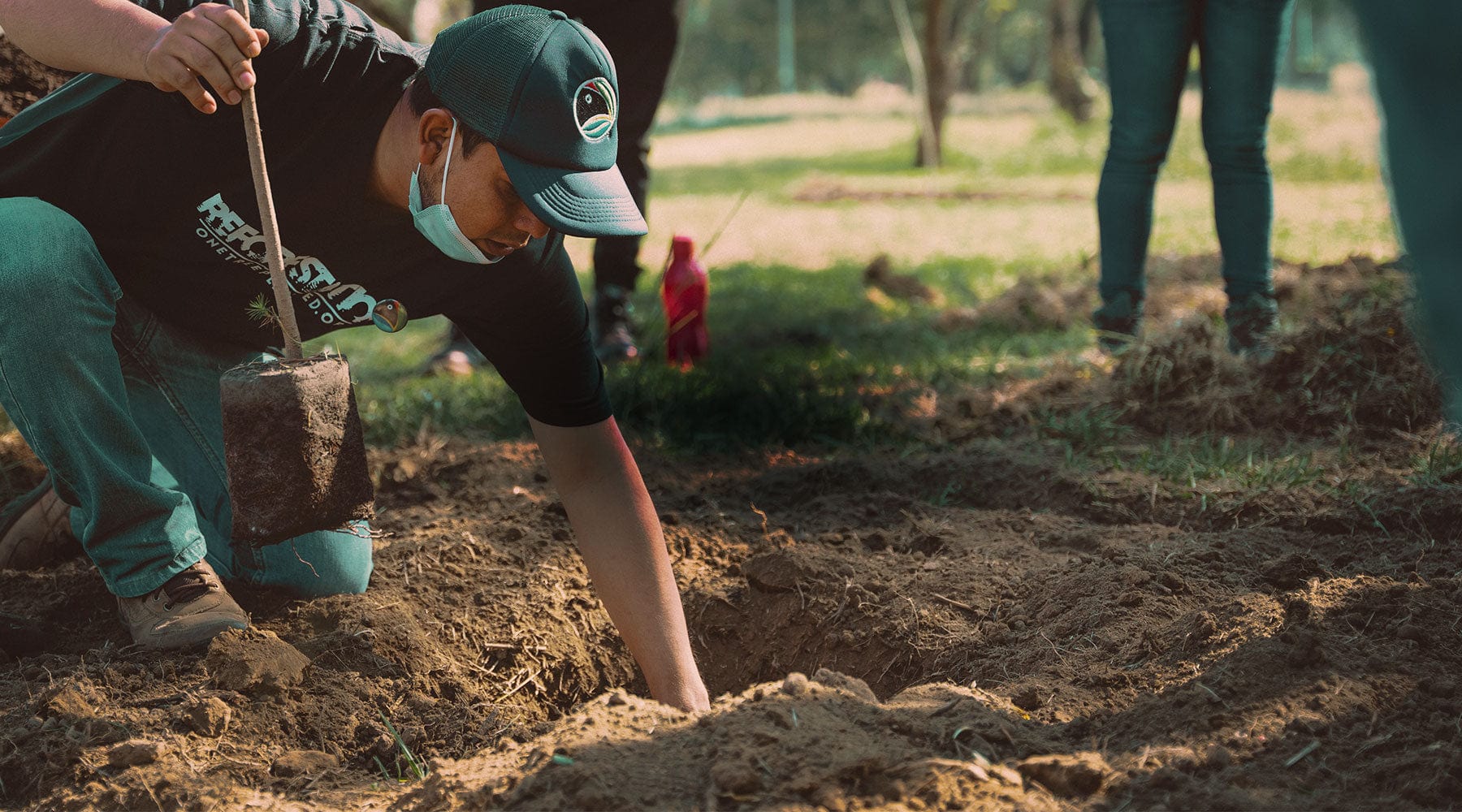 One Tree Planted | Tree Planting Non-Profit: One Dollar, One Tree
