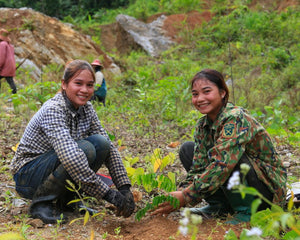 Planting trees in Asia