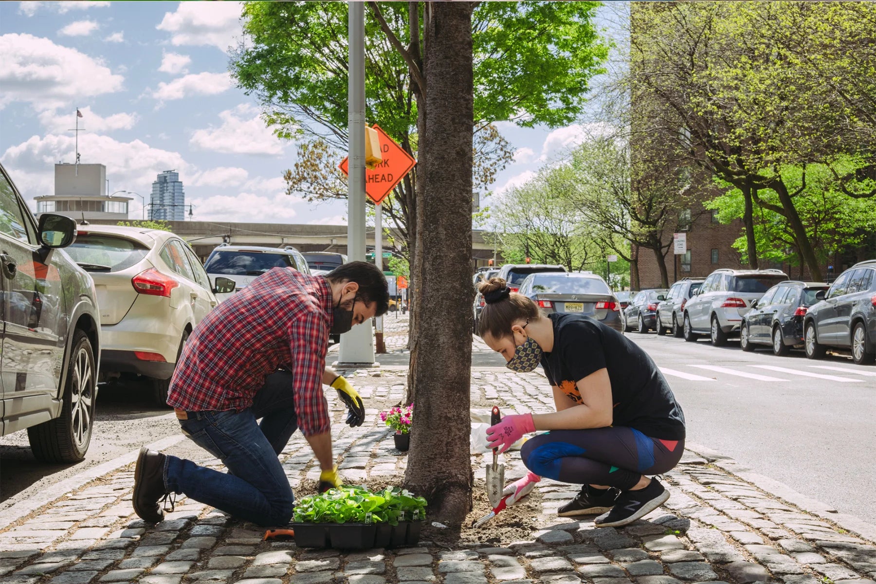 Urban forestry in New York City