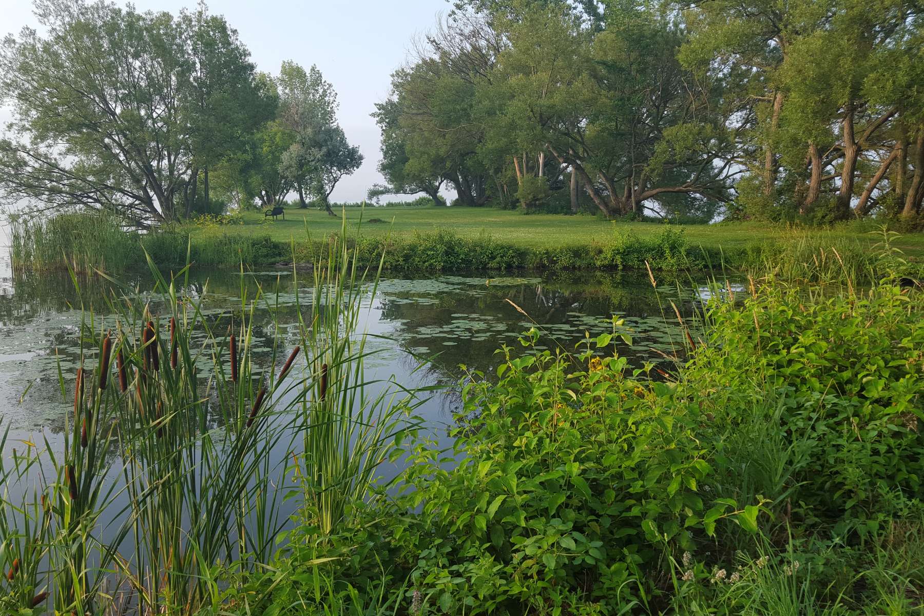 Good News! 30 Positive Environmental News Stories From 2024 25 Good News! 30 Positive Environmental News Stories From 2024 25