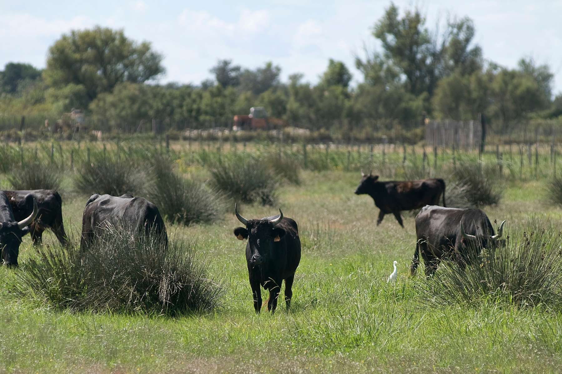 Good News! 30 Positive Environmental News Stories From 2024 21 Good News! 30 Positive Environmental News Stories From 2024 21
