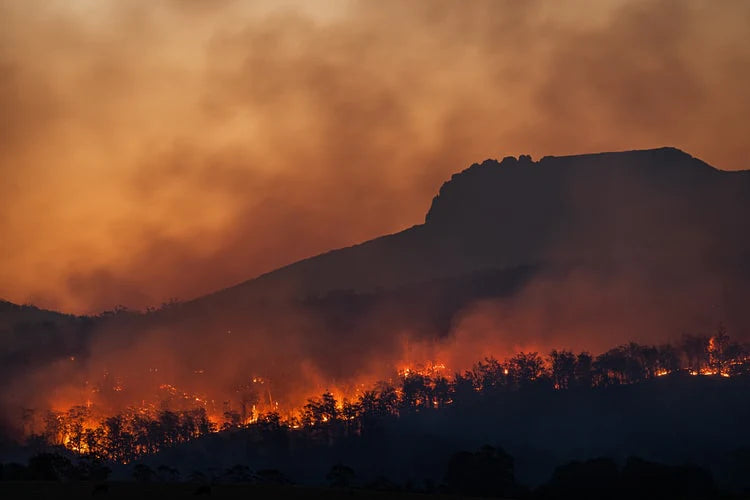 wild fires global warming