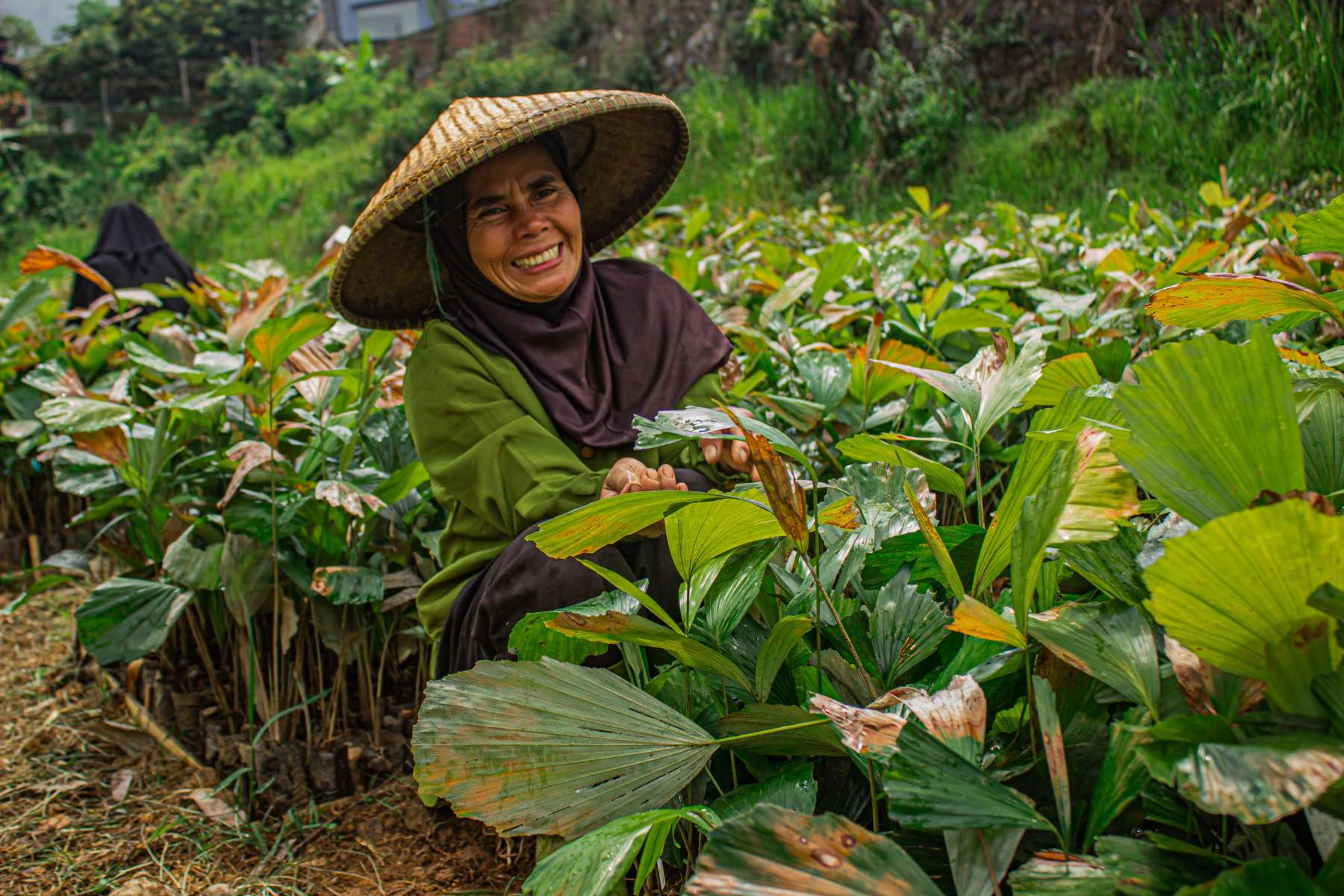 Good News! 30 Positive Environmental News Stories From 2024 20 Good News! 30 Positive Environmental News Stories From 2024 20