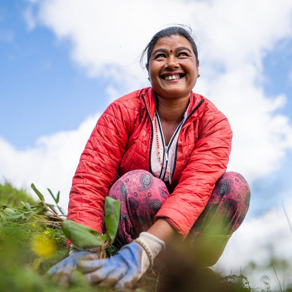 Woman smiling planting sapling