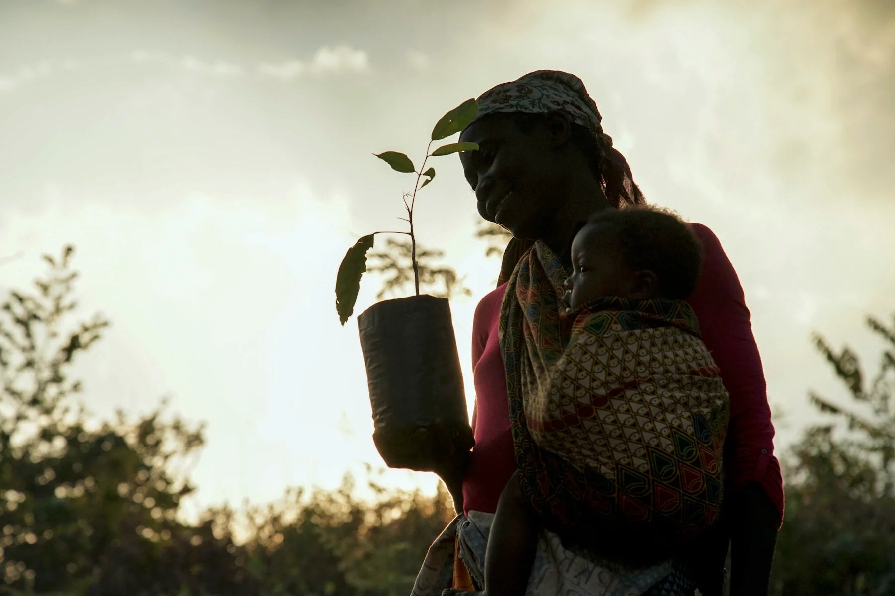 woman holding child and seedling