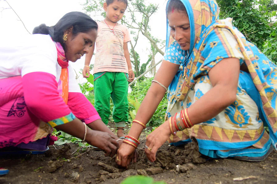 women planting a tree india