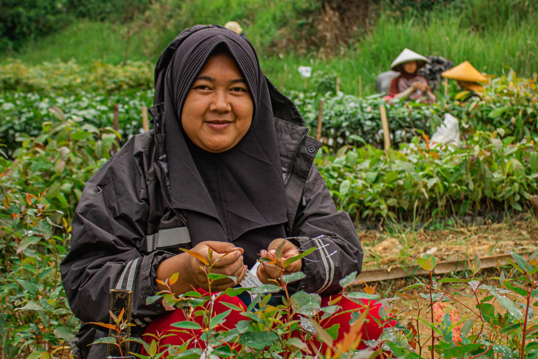 Woman sorting saplings