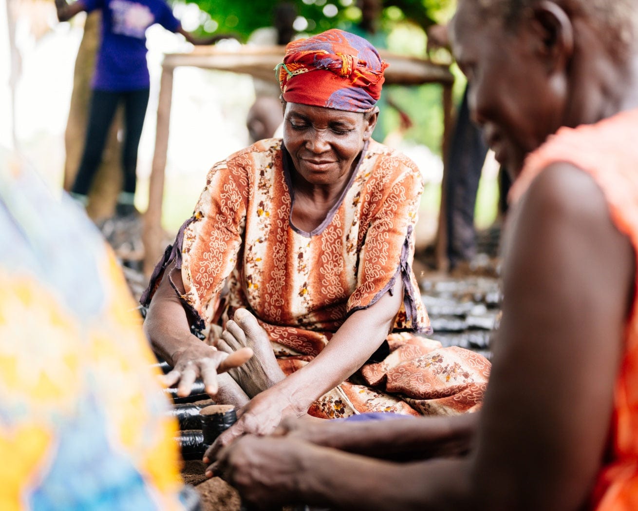 Plant Trees for Impact