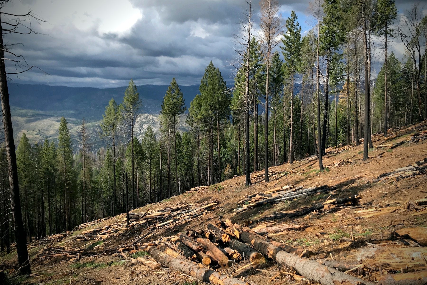 yosemite valley burn scar