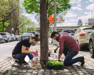 Volunteer's planting for Urban Forestry