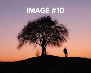 Custom greeting card image 10 - Silhouette of tree