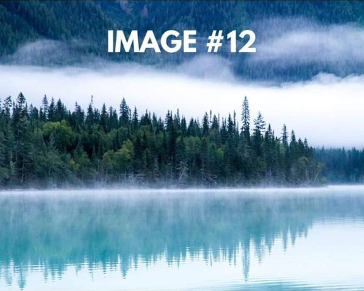 Custom greeting card image 12 - Trees and water