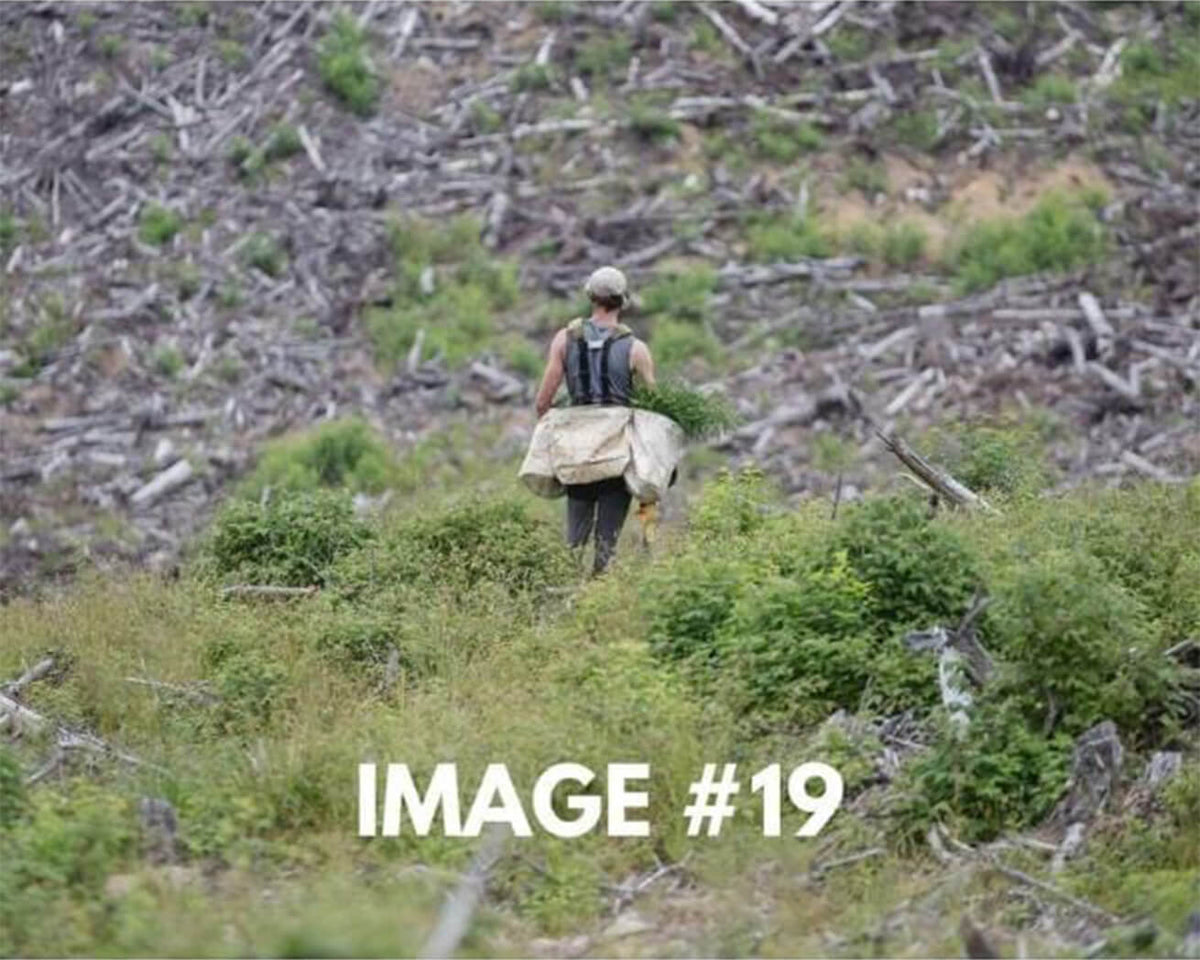 Custom greeting card image 19 - Planting saplings