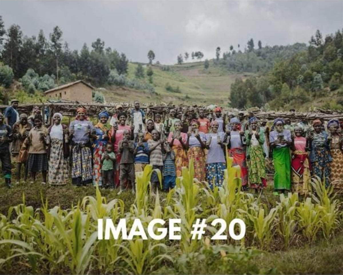 Custom greeting card image 20 - Planting partners 