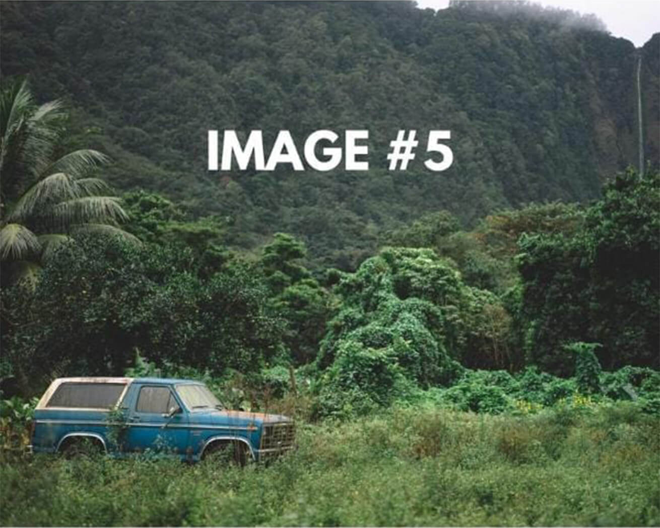 Custom greeting card image 5 - car traveling in the forests