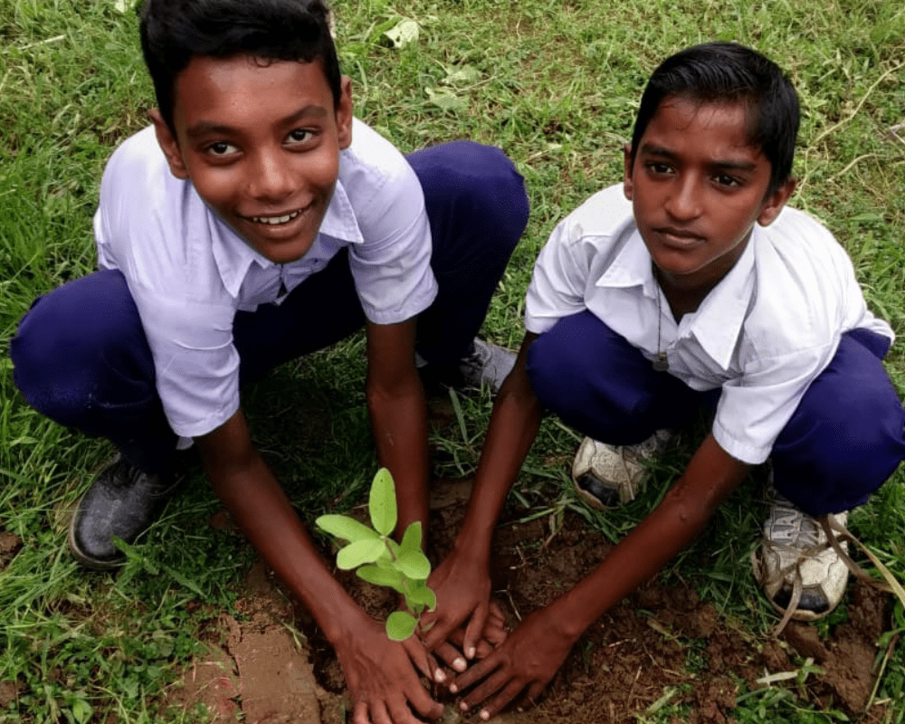 Youth volunteers planting tree sapling in India