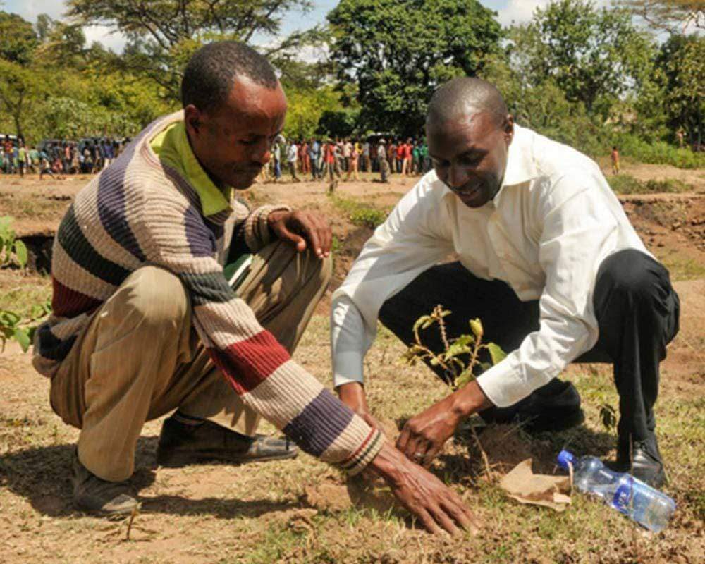 Plant Trees in Ethiopia | Tree Planted
