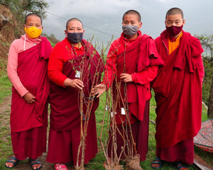 group of people planting in bhutan
