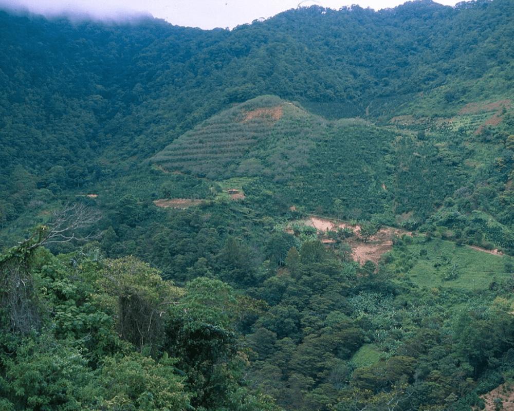 Honduras landscape 