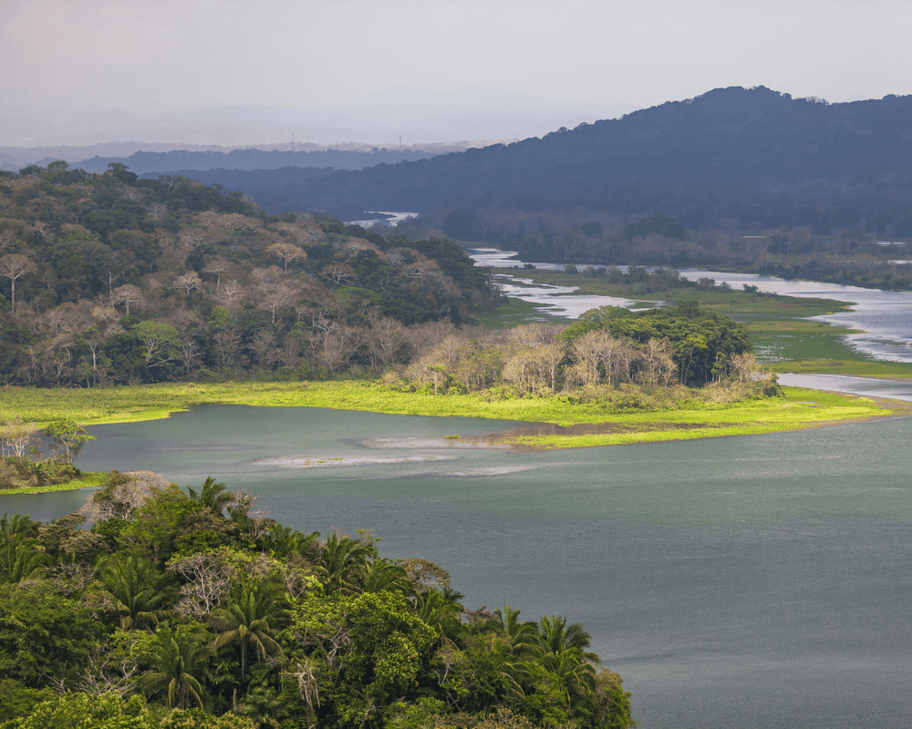 Our Work in Panama | One Tree Planted