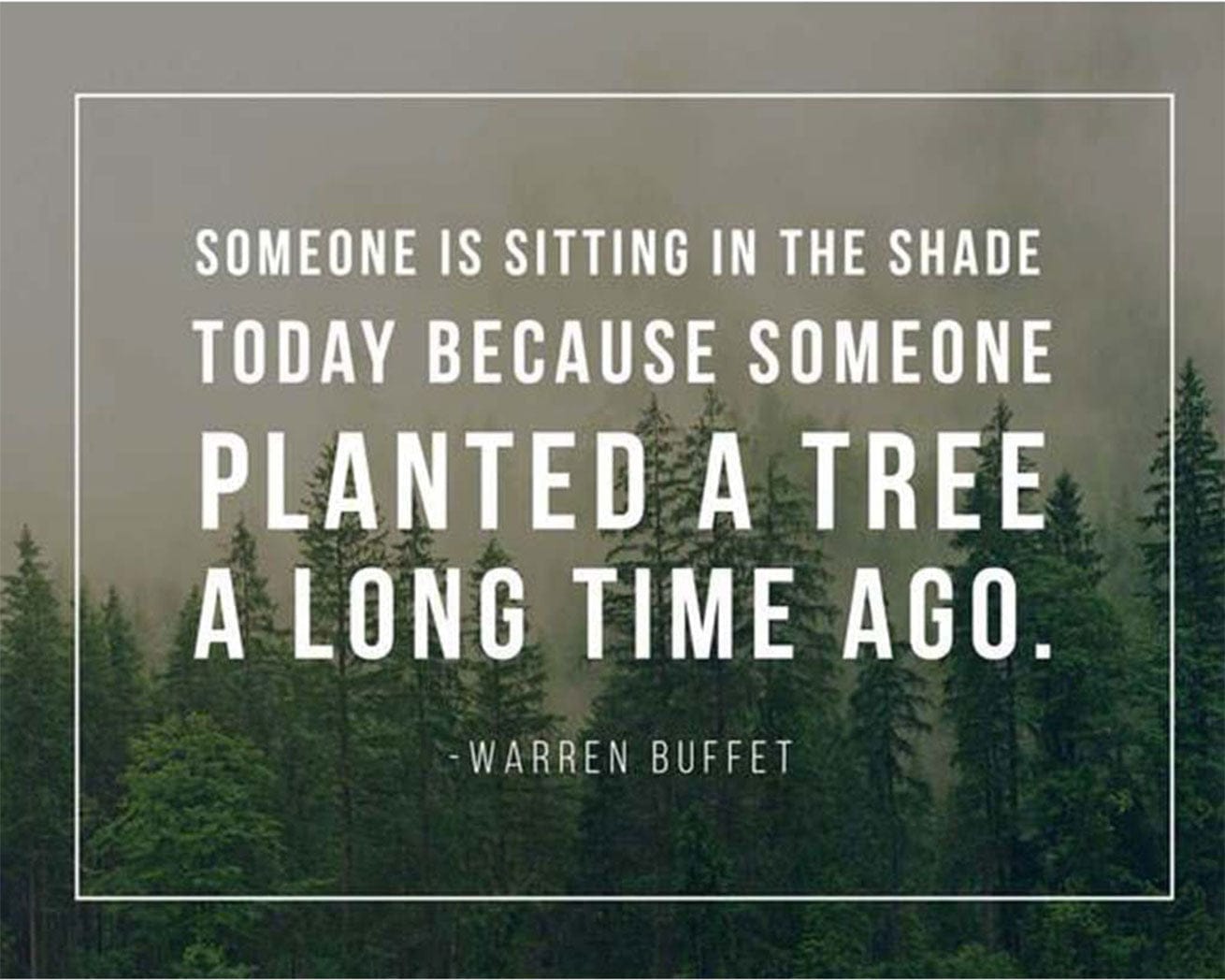 Tree Quote Card | One Tree Planted