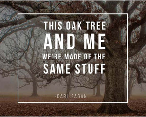 Tree Quote Card