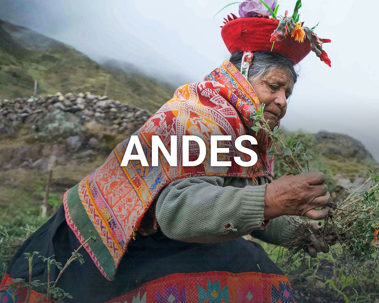 Andes main image