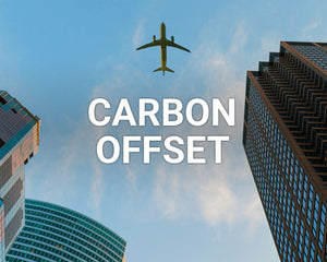 Carbon Offset main image
